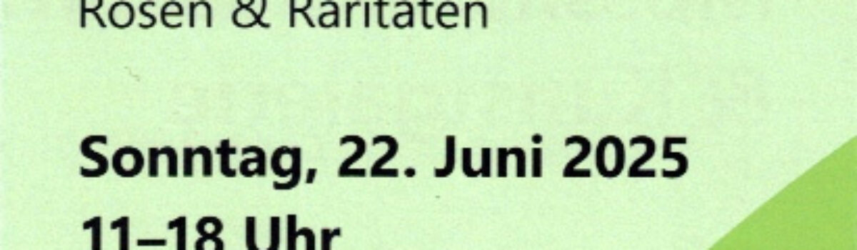 Rosenmarkt & Kunstgalerie 2025